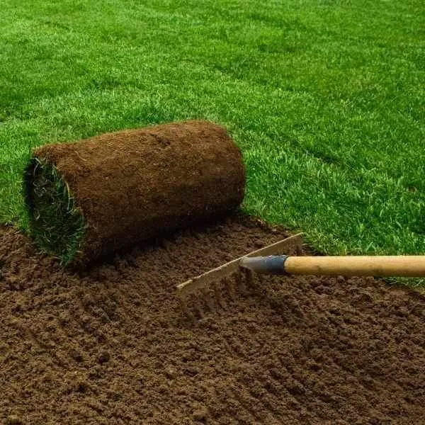 Click and Collect Lawn Turf m2 rolls - Special Offer (Collection only).