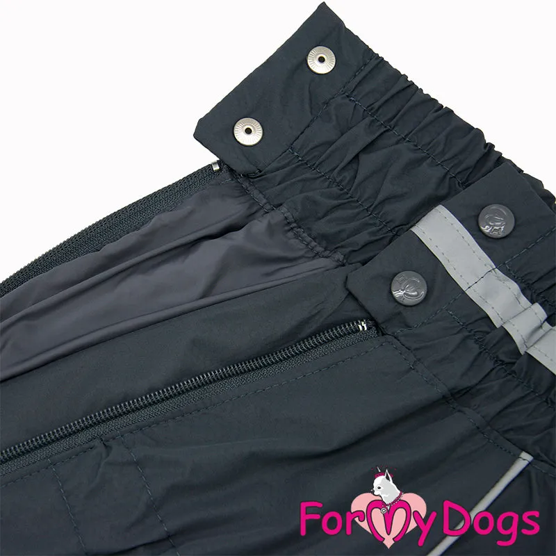 Gracious Grey Rainsuit For Boys For Medium, Large Breeds & Pugs SPECIAL ORDER