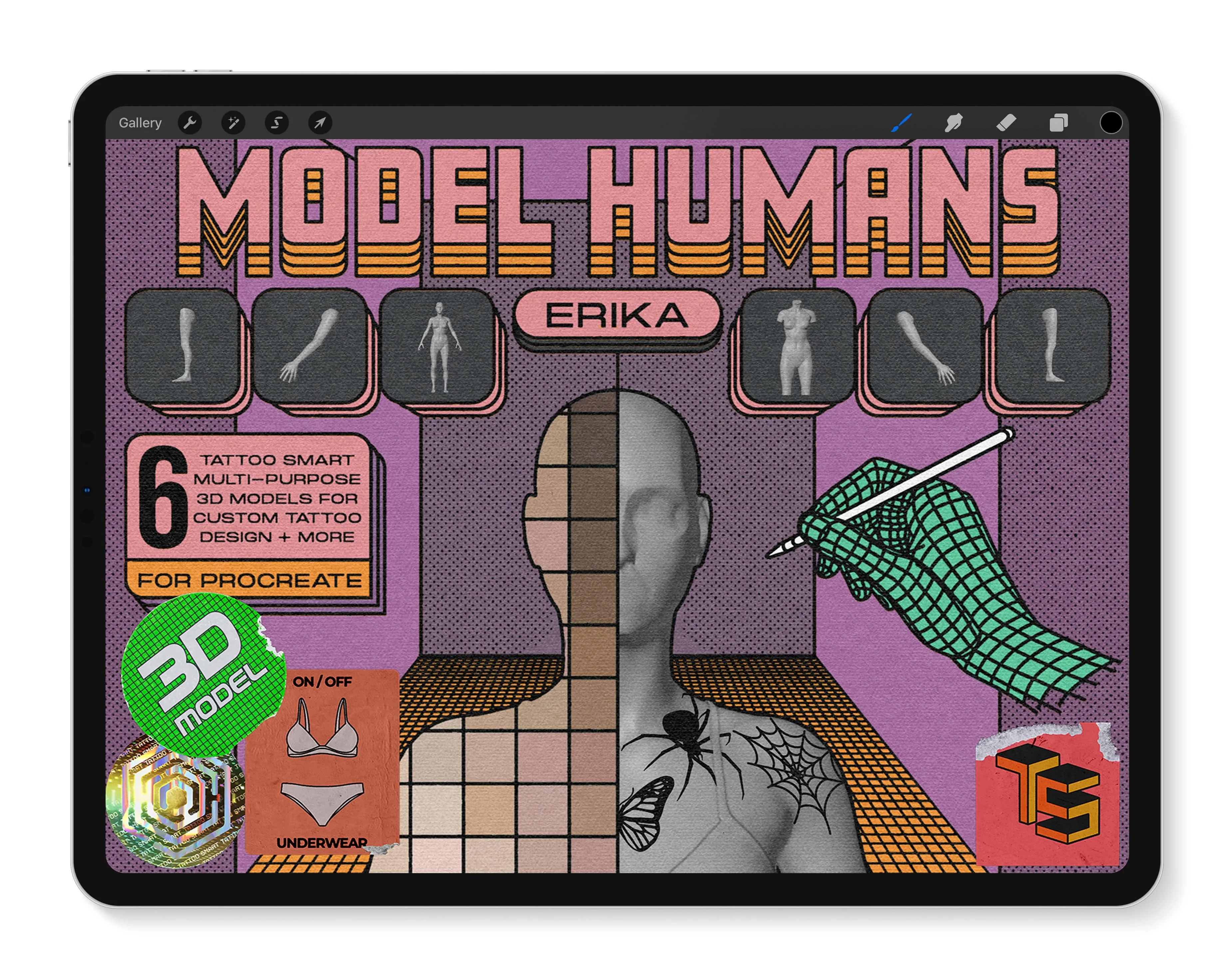 Model Humans: Erika