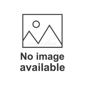 Smartwool Women's Run Zero Cushion Low Ankle Socks