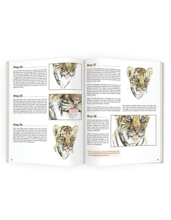 Tiger Cub In-Depth Tutorial